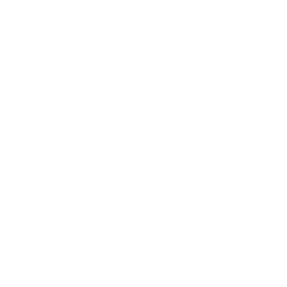 Icon für Fahrschule mit Mensch am Flipchart