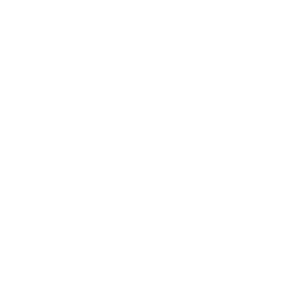 Icon für Fahrschule mit Fahrschulauto