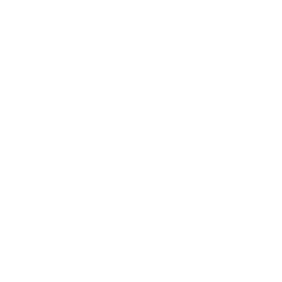 Icon für Fahrschule mit Handy-App