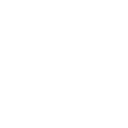 Icon mit der Zahl 17