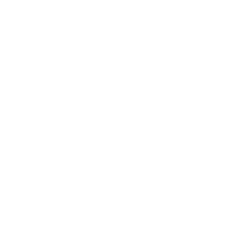 Icon Busfahrer