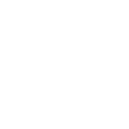 Icon eines Buses für Busfahrer