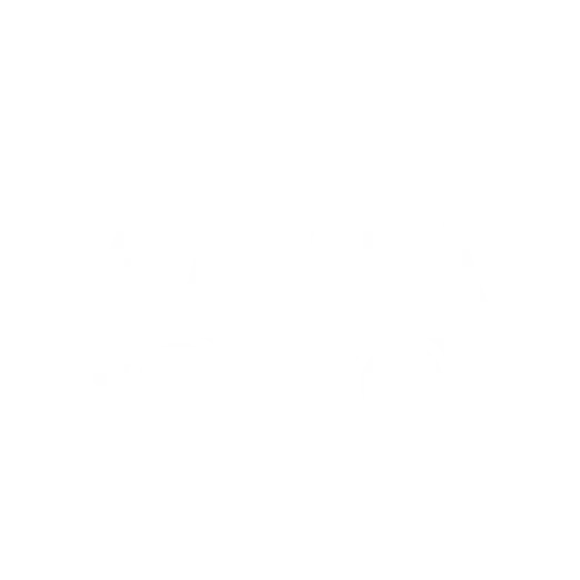 Icon eines Buses für Busfahrer