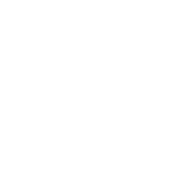 Icon LKW Fahrer