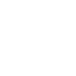 Icon eines LKWs für LKW Fahrer