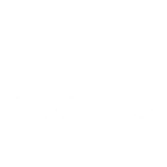 Icon eines LKWs für LKW Fahrer