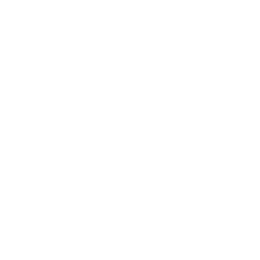 Icon eines Transporters für Service Fahrer