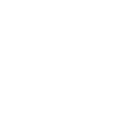 Icon einer Hand